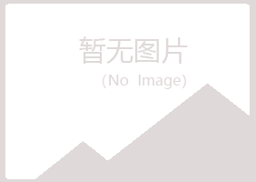 平昌县梦碎金属有限公司